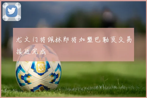 尤文门将佩林即将加盟巴勒莫交易接近完成