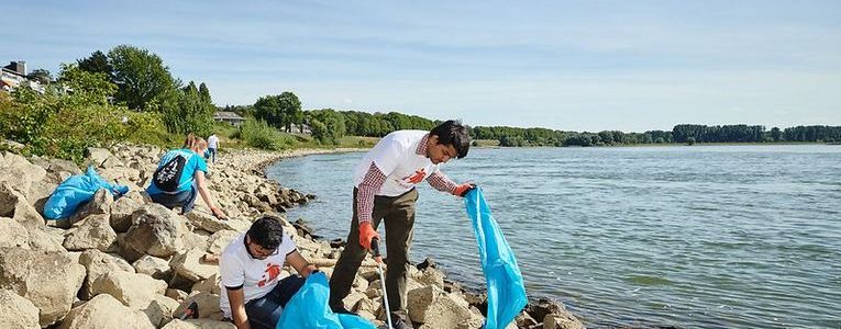 Henkel employees organize plastic collection activities worldwide