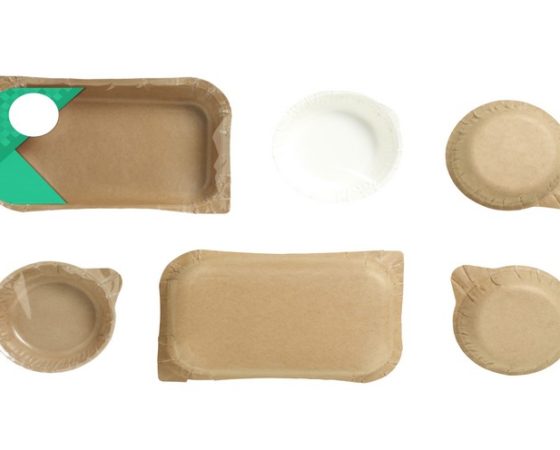 Syntegon develops paper-based food packaging as part of EIT Food project, ‘PACK4SENSE’